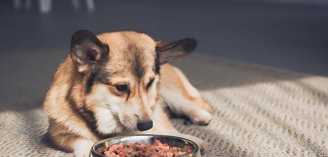 降临消费冷淡难改5大赛道悄悄赚翻天CQ9电子登录注册中国低欲望时代(图11)